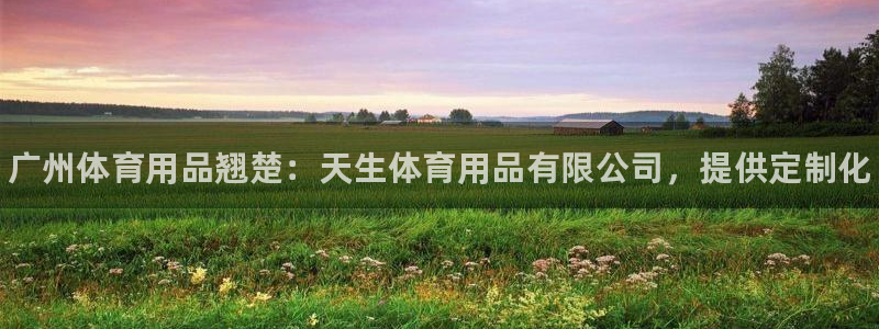 欧陆娱乐登录平台下载:广州体育用品翘楚:天生体育用品有限公司