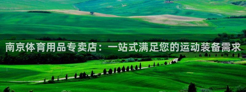 欧陆娱乐登录平台有哪些:南京体育用品专卖店:一站式满足您的运